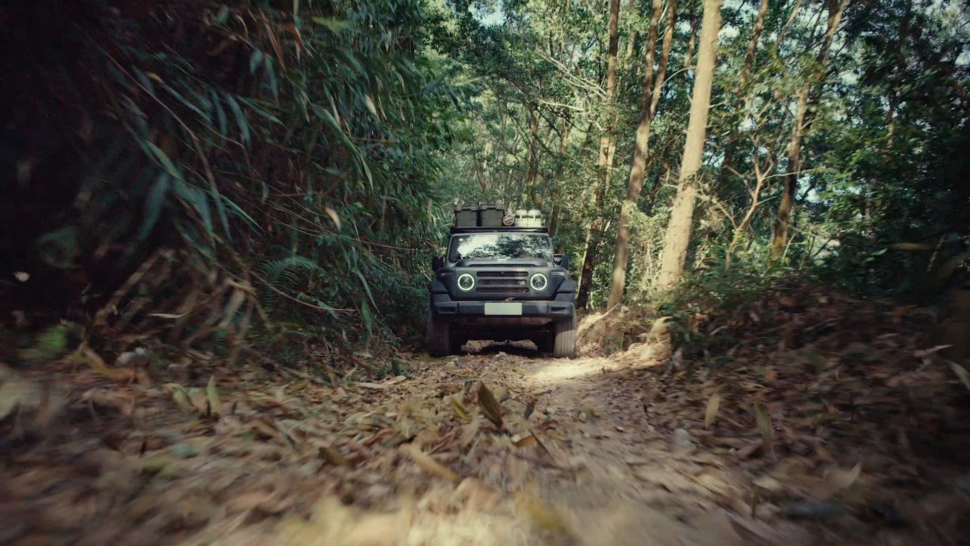 BAW 212 por una pista de selva
