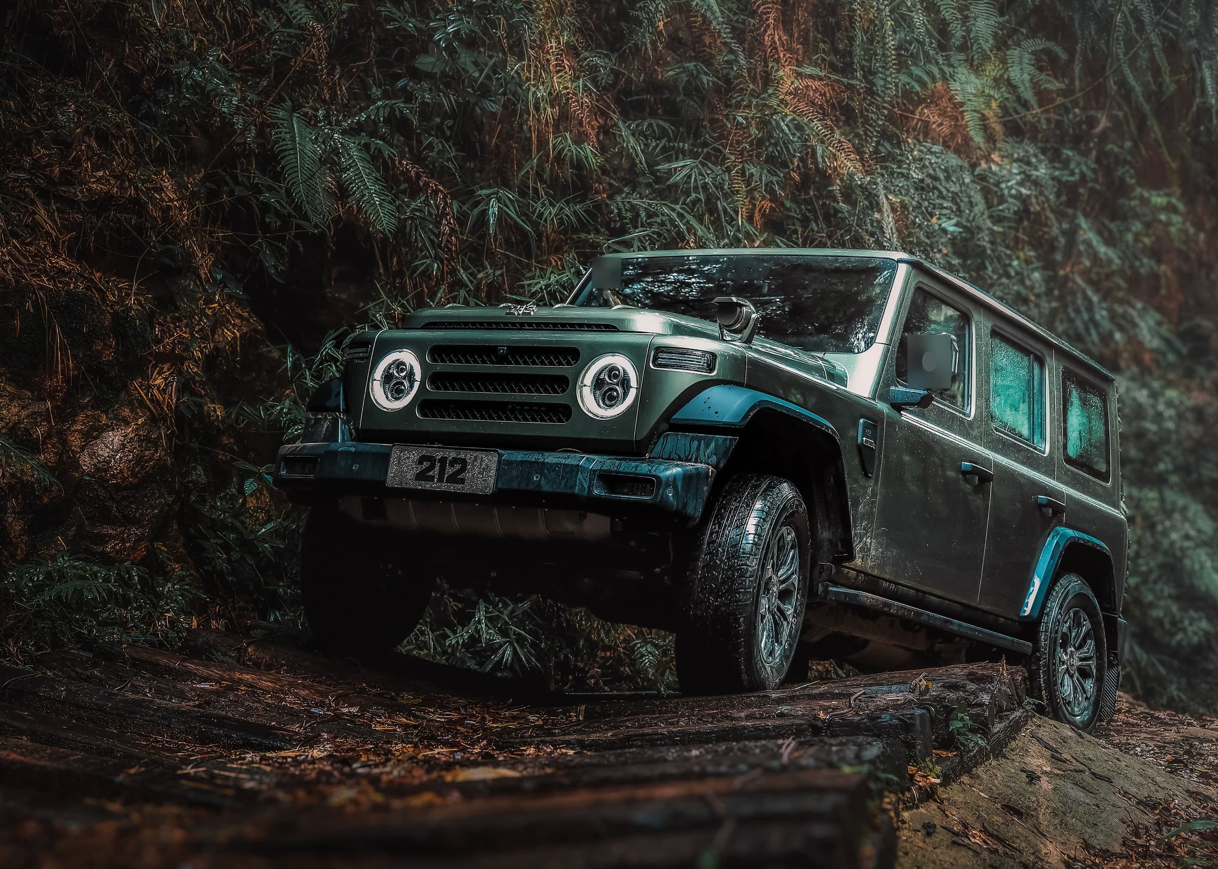 BAW 212 entre helechos y rocas en una pista de selva